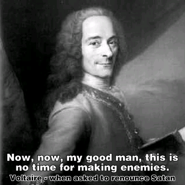 Voltaire; A Frenchman worth studying
